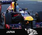 Sebastian Vettel, 2013 Japonya Grand Prix zaferi kutluyor